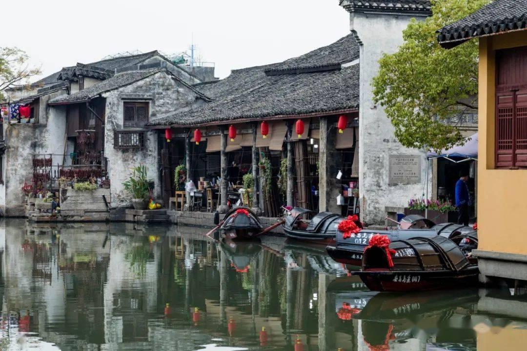 蝎子逃生之地